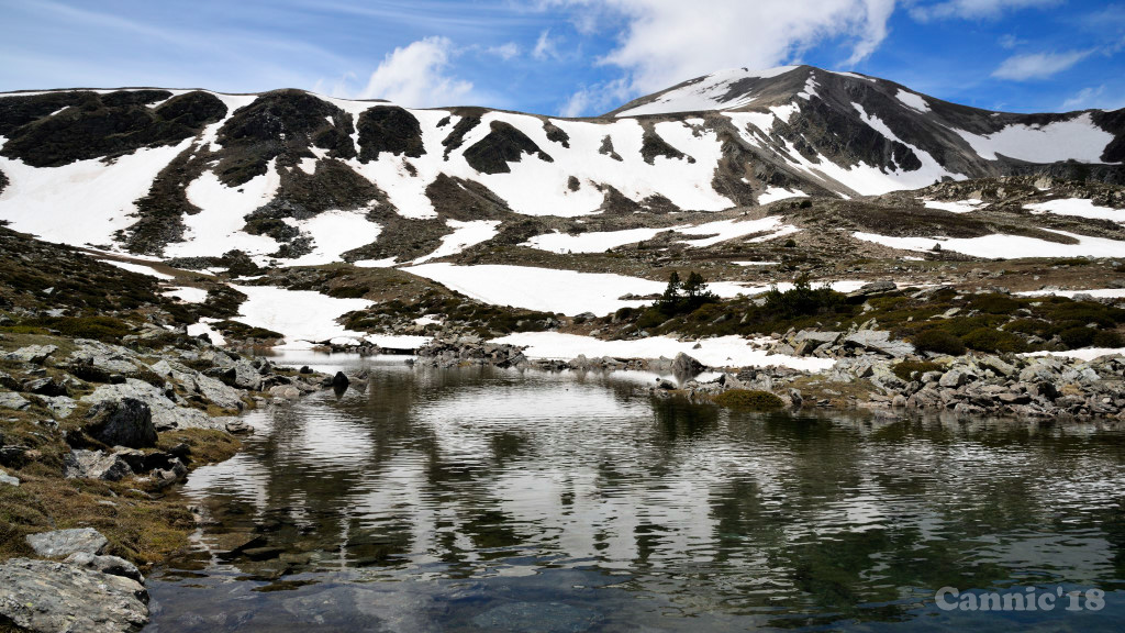 bastiments18_08.jpg