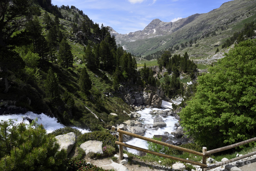 BenascEscaleta19_25.jpg