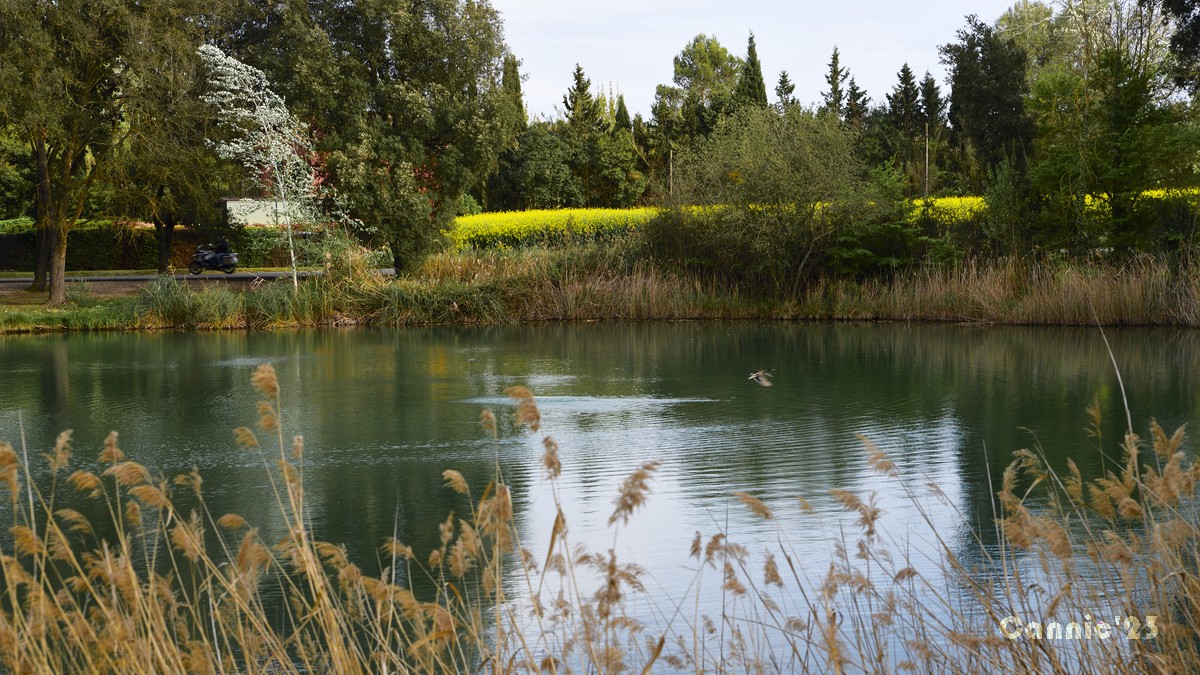 20230422Banyoles_102.jpg