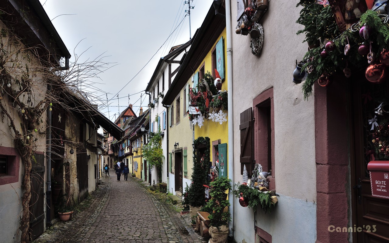 20231205_Eguisheim_03.jpg