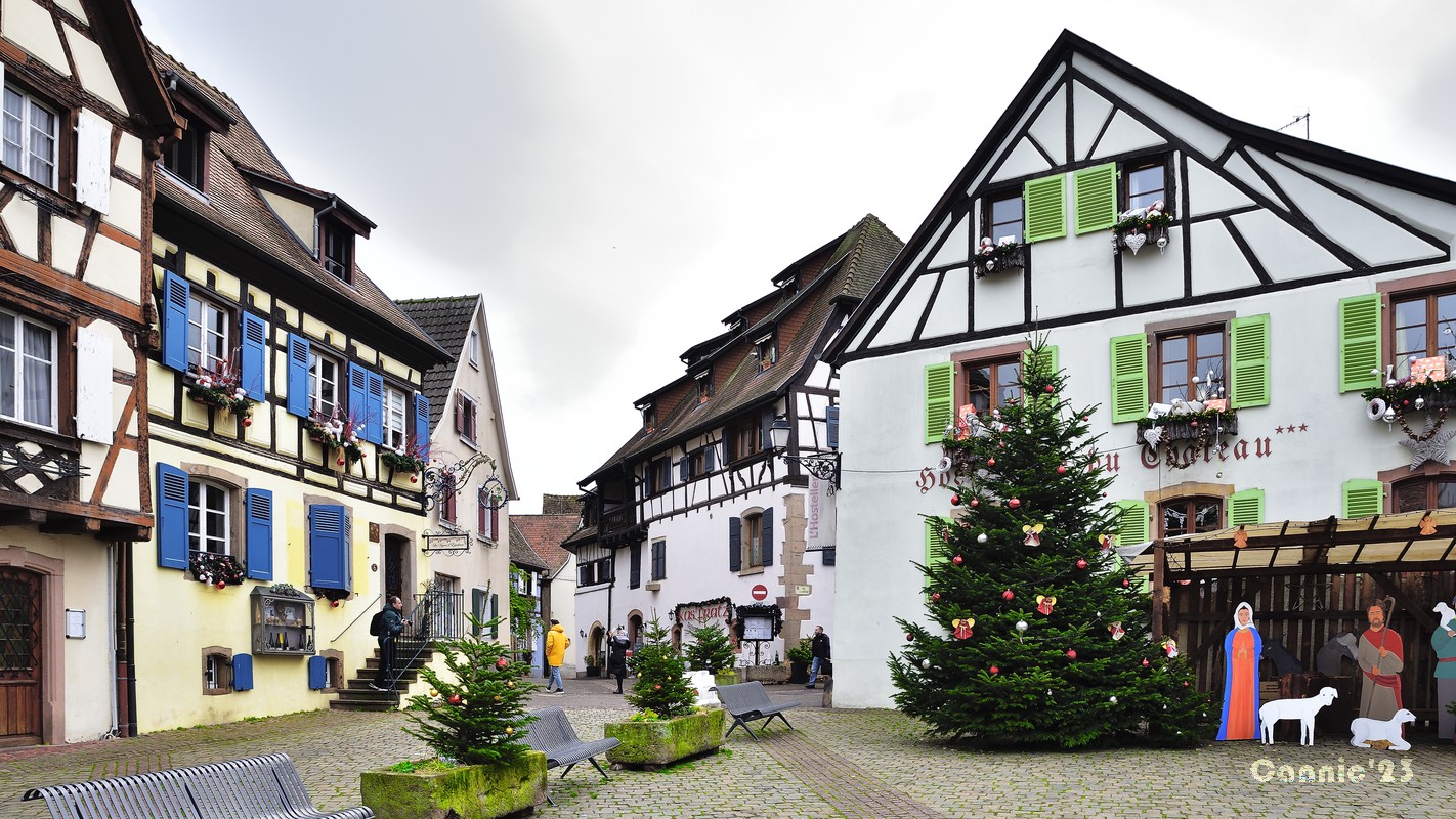 20231205_Eguisheim_12.jpg