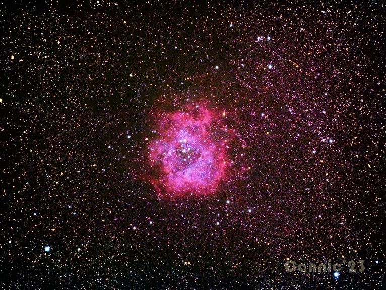 C50_20221227.jpg