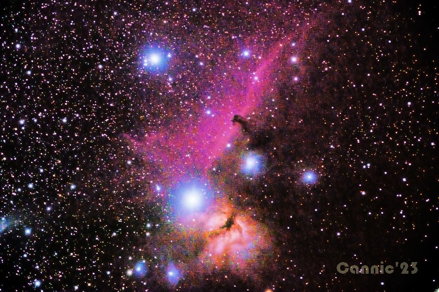 IC434_20221227_02.jpg