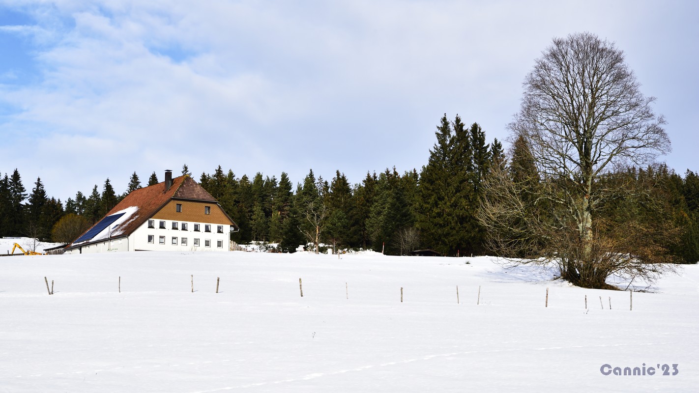 20231209_Triberg_8.jpg