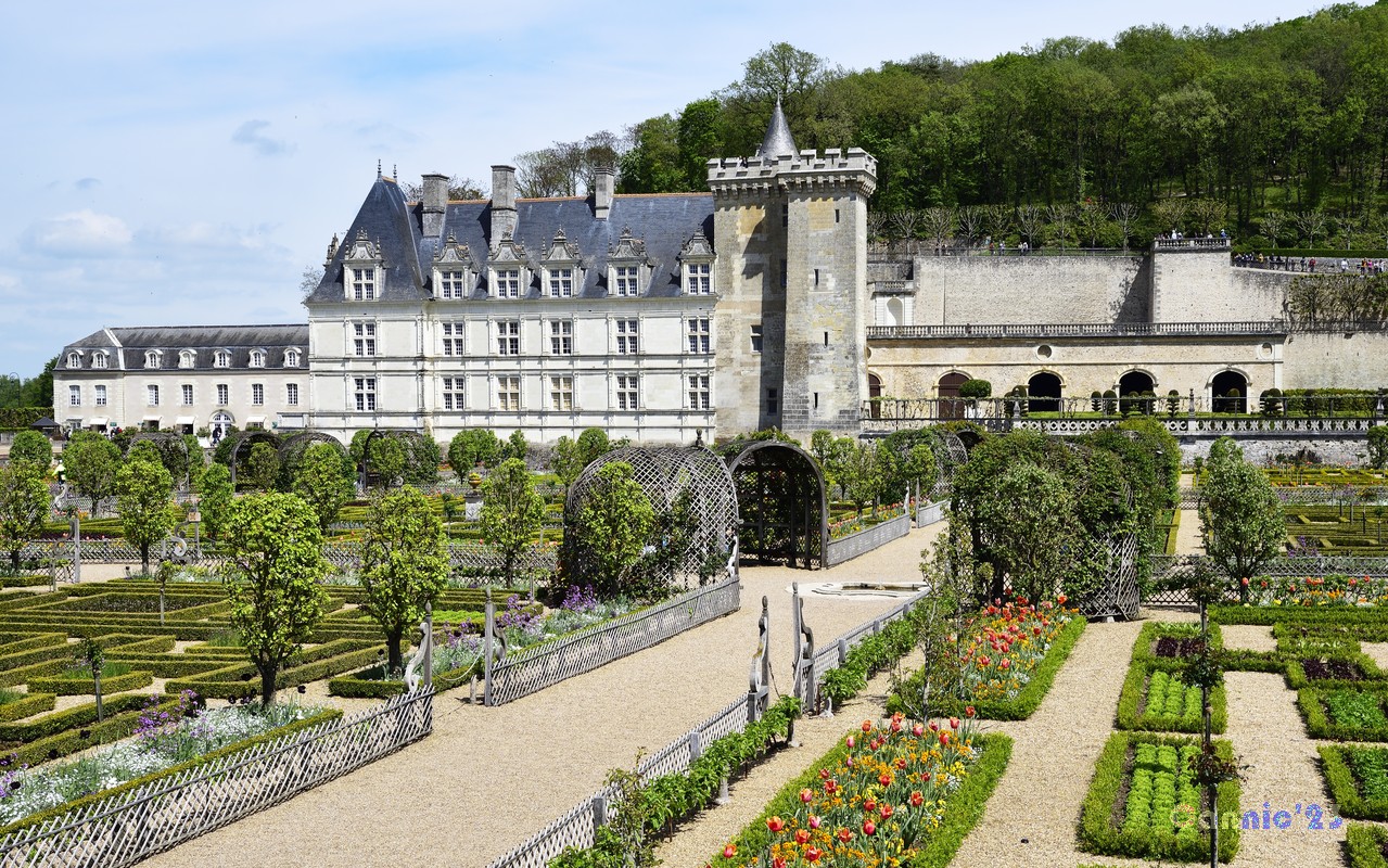 20230501Villandry_21.jpg