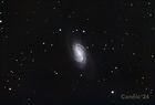 NGC2903_20240509_small.jpg
