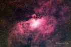 M16_20240710_small.jpg