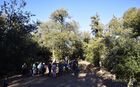 Simanya_20240120_06_small.jpg