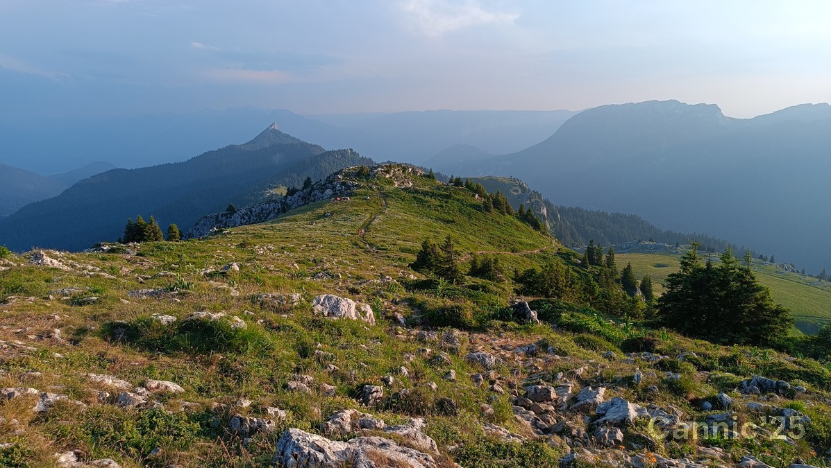 20250621CharmantSom_07.jpg