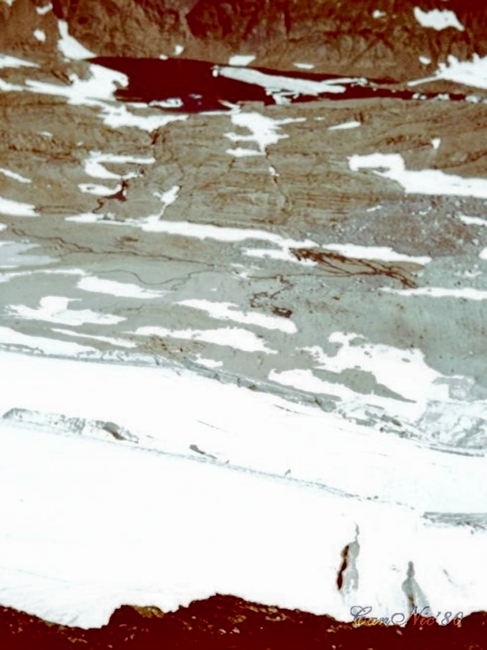 MontPerdut80_10.jpg